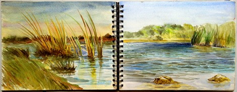 An open spread showing two moments in time at one of the small lakes west of Long Pine Key. Done during the afternoon of December 30, 2005.