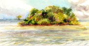Florida Bay shallows and key near Christian Point. Watercolor Field Sketch.